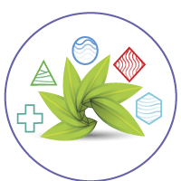 leaf logo with geometric shapes